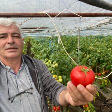 Video Ion Paunel, sageata politicienilor. Legumicultorii olteni muncesc nemteste si vand romaneste. Politicienii sunt pe mana cu samsarii